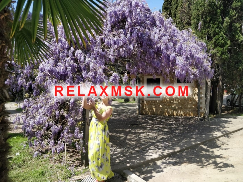 Проститутки Москвы : Светлана - фото 4