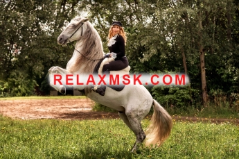 Проститутка Москвы : Олеся  - фото 1