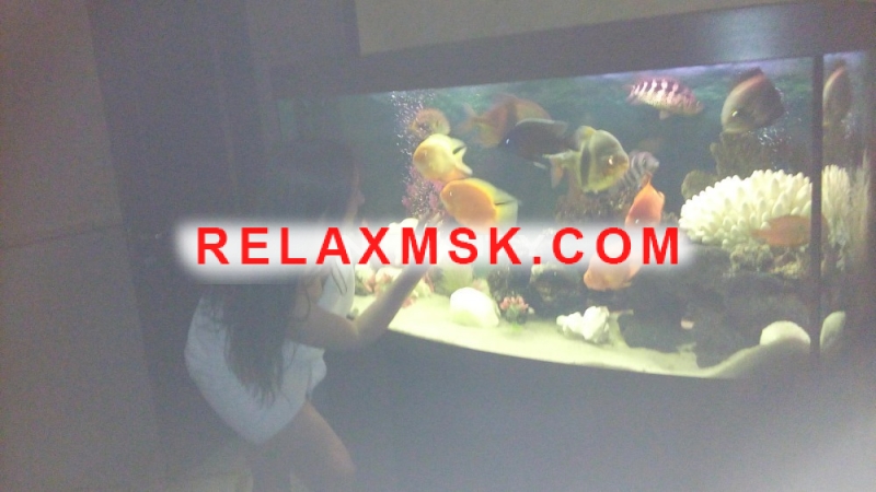 Проститутки Москвы : 💖Алина 💋 - фото 5