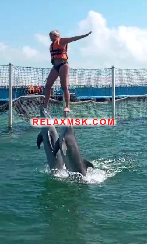 Moscow escort : Marina - photo 4